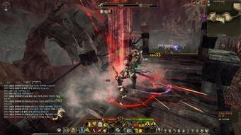 最新回响爆料视频大全集,揭秘热点事件背后的真相与内幕