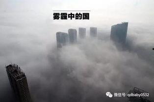 创意雾中人最新爆料,带你走进神秘事件的背后